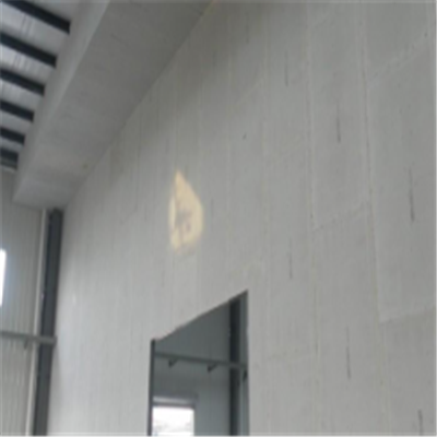 金坛宁波ALC板|EPS加气板隔墙与混凝土整浇联接的实验研讨